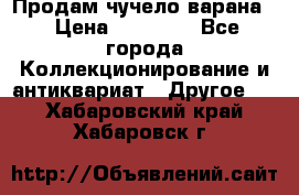 Продам чучело варана. › Цена ­ 15 000 - Все города Коллекционирование и антиквариат » Другое   . Хабаровский край,Хабаровск г.